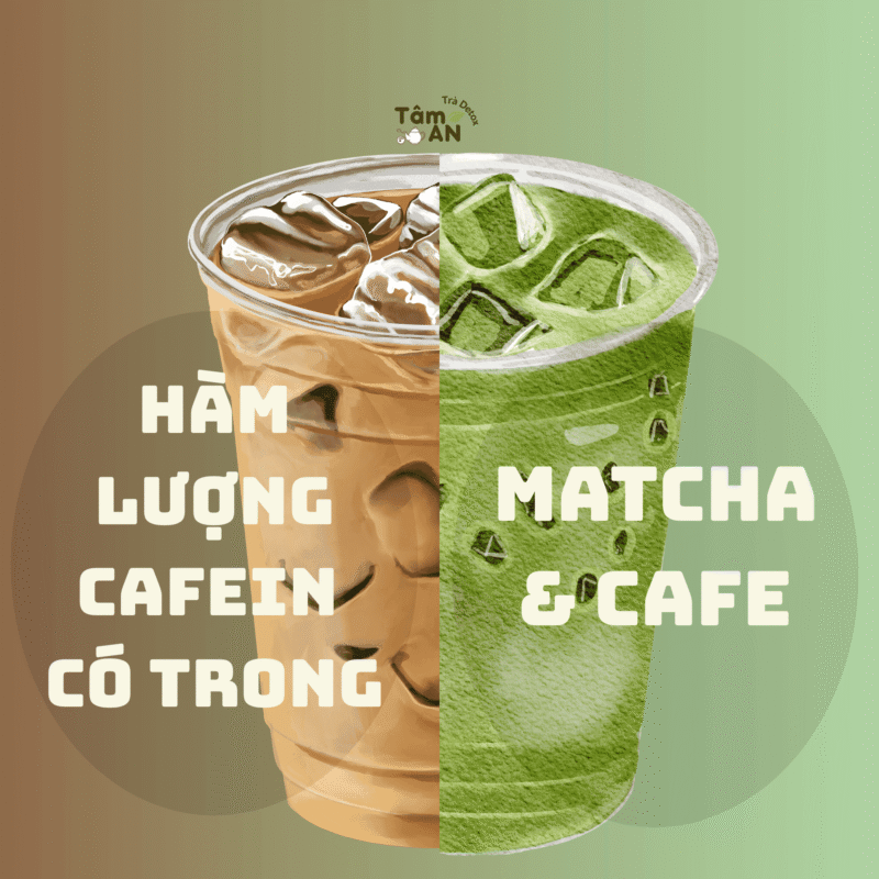 Hàm lượng cafein có trong matcha và cafe