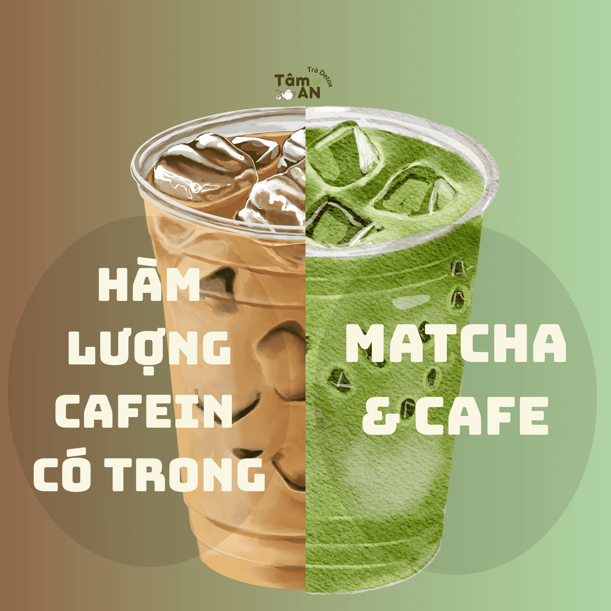 Hàm lượng cafein có trong matcha và cafe