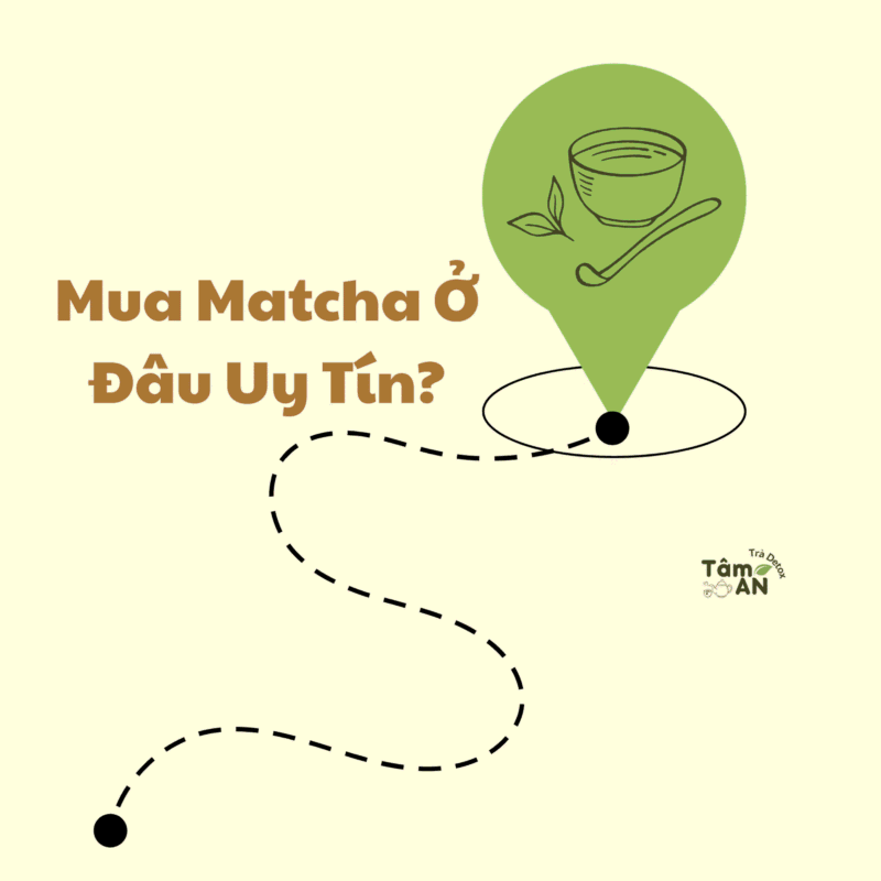 Mua matcha ở đâu uy tín